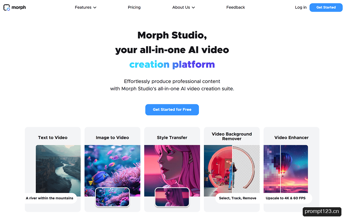 Morph Studio