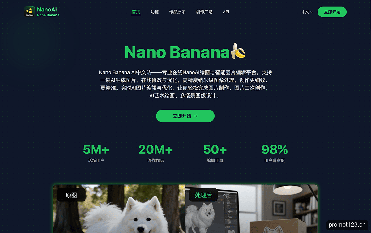 NanoAI