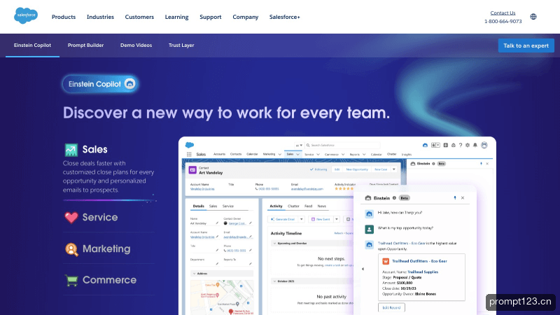 Einstein Copilot