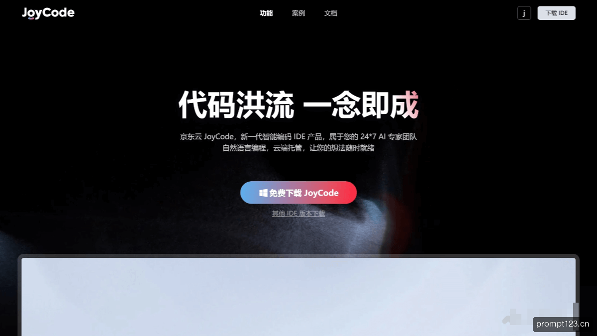 JoyCode