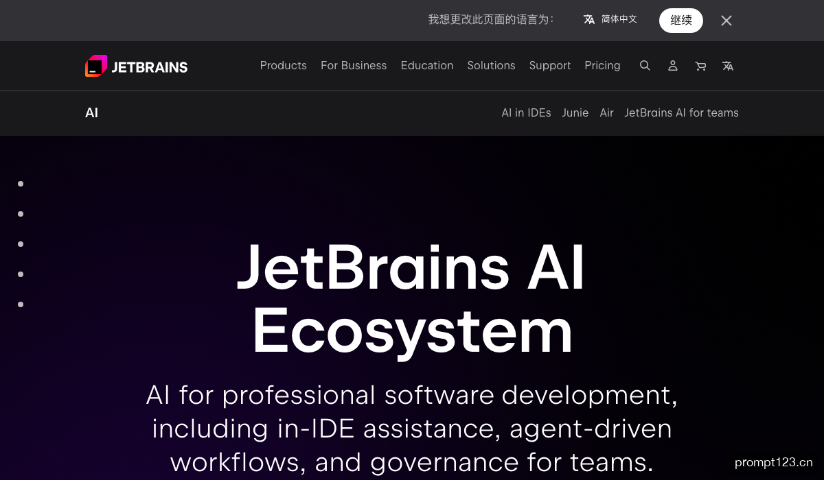 JetBrains AI 软件截图