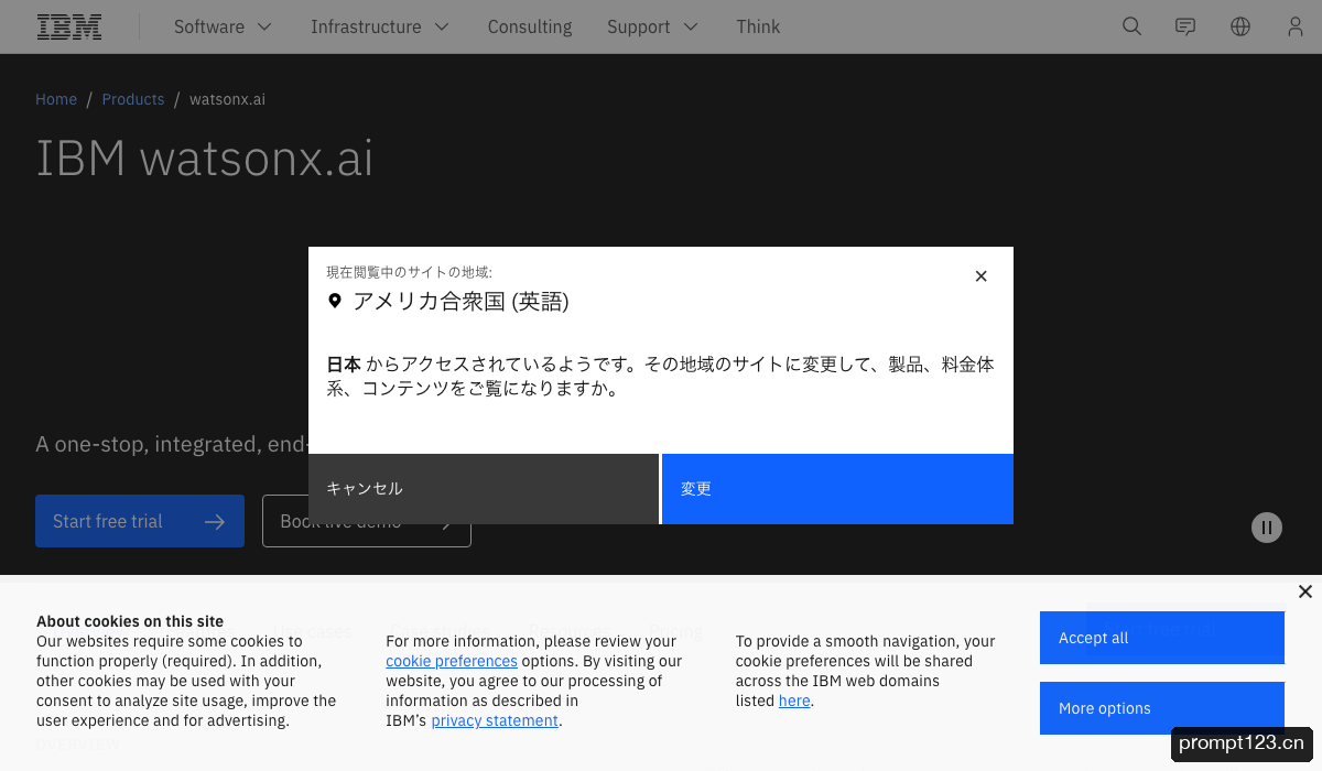 Watsonx.ai
