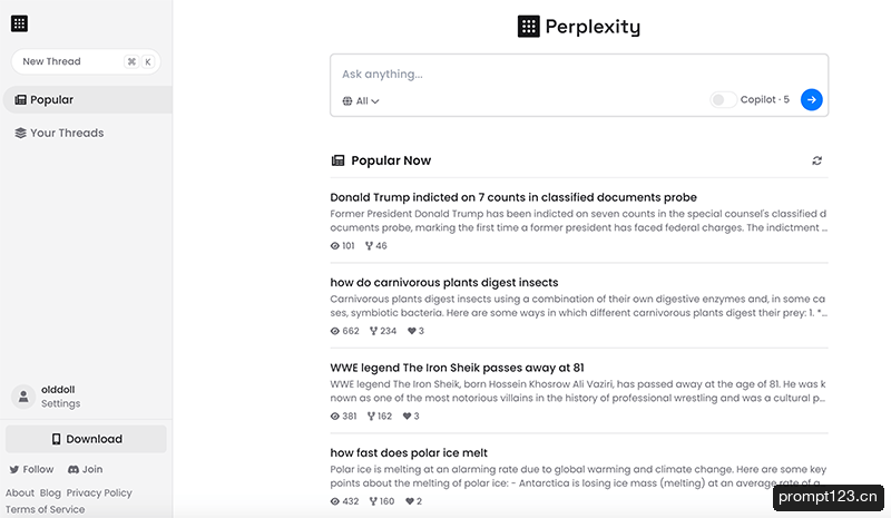 Perplexity